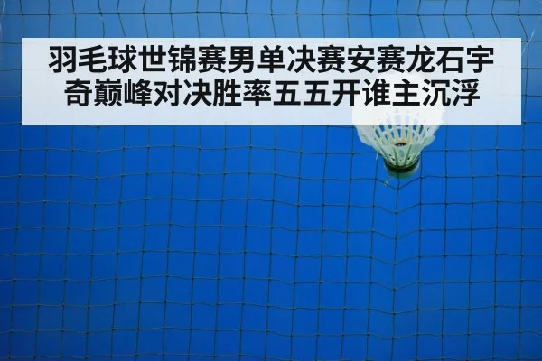 badminton net play